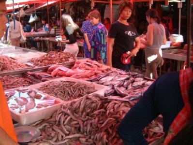 mercado (44)  ALIMENTOS MERCADO